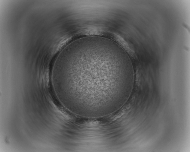 X0000098160202200804241811