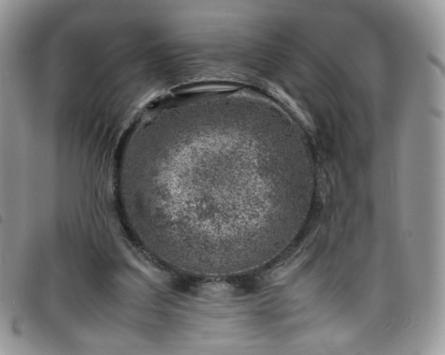 X0000098160203200804241811