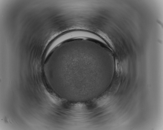 X0000098160204200804241811
