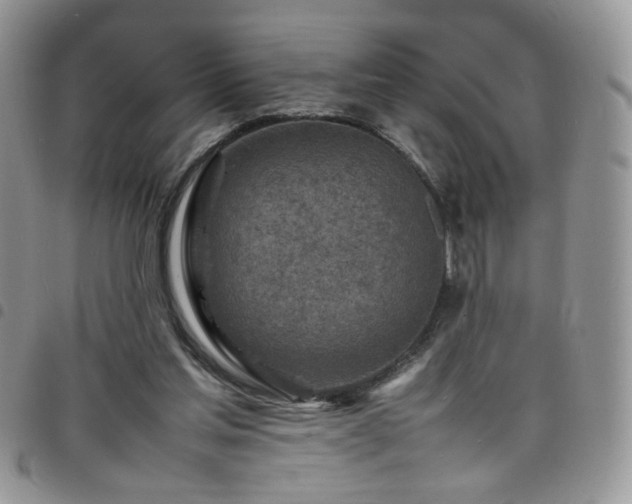 X0000098160205200804241811