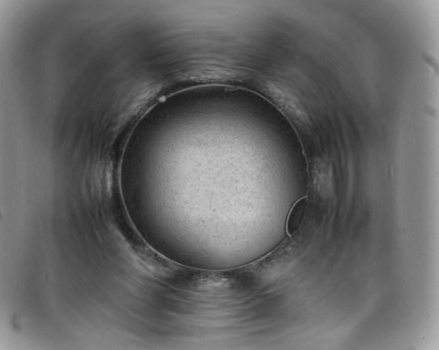 X0000098160206200804241811