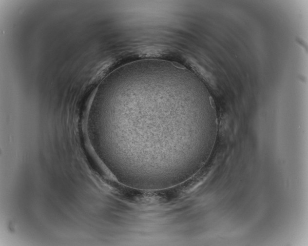 X0000098160209200804241811