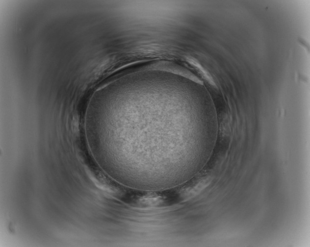 X0000098160213200804241811