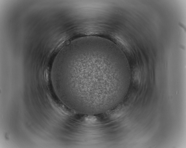 X0000098160214200804241811