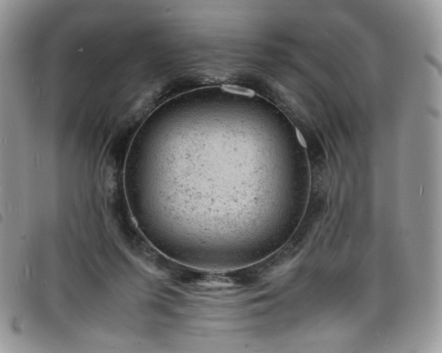 X0000098160215200804241811
