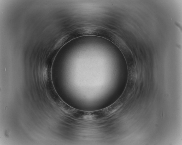 X0000098160216200804241811