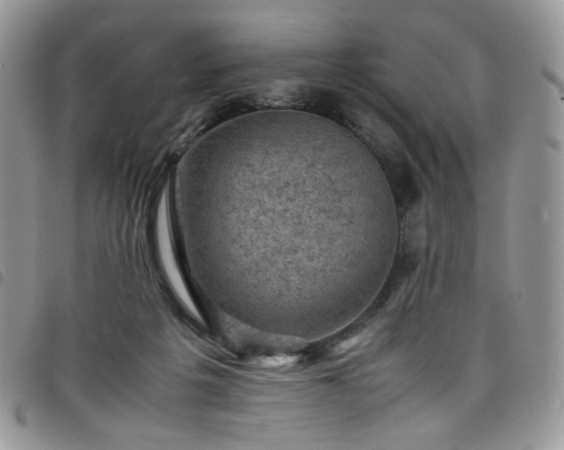 X0000098160217200804241811