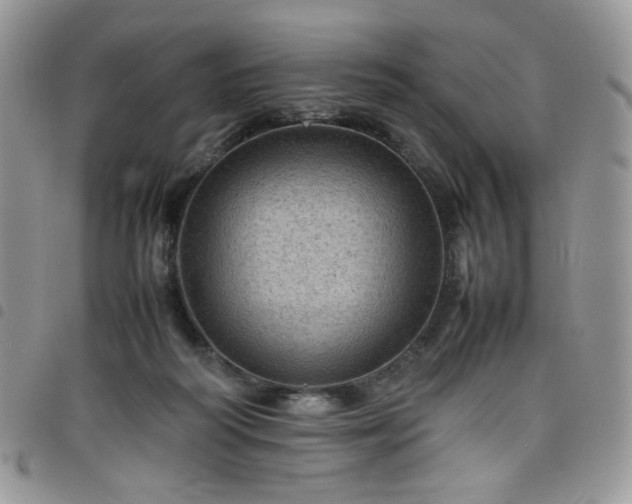 X0000098160218200804241811