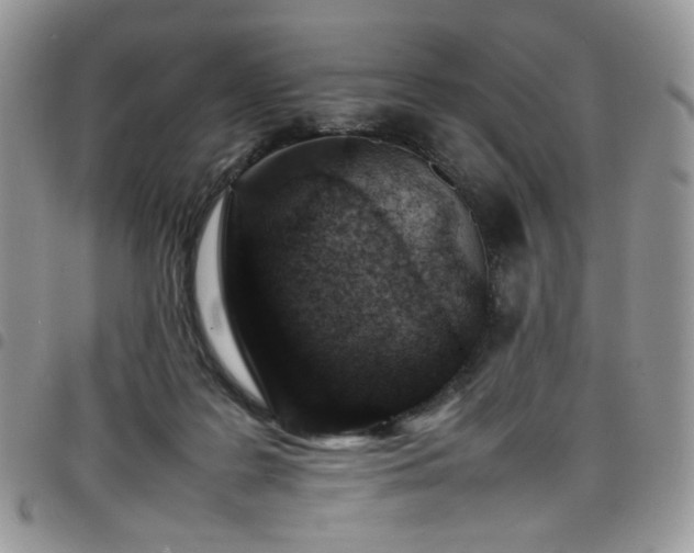 X0000098160219200804241811