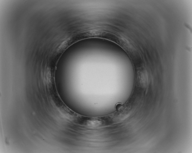 X0000098160220200804241811