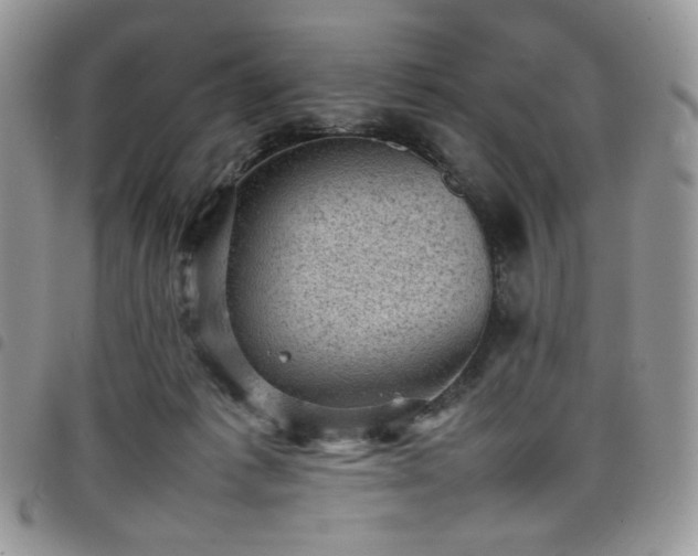 X0000098160221200804241811