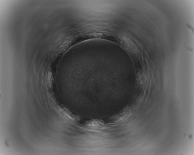 X0000098160223200804241811