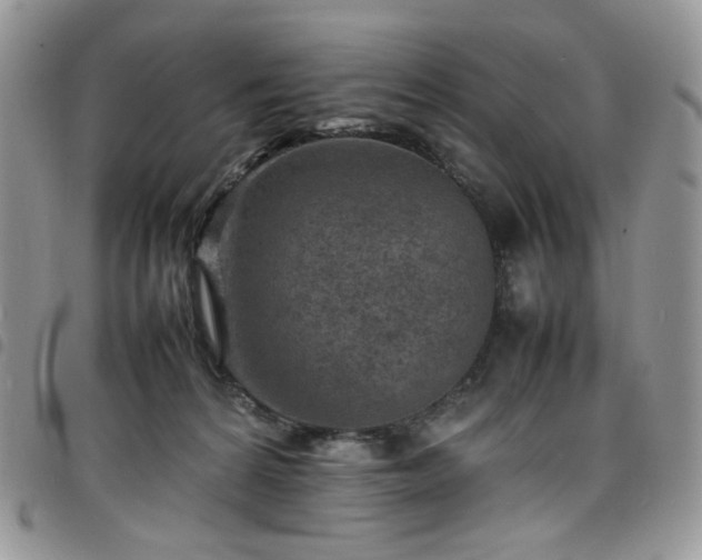 X0000098160224200804241811