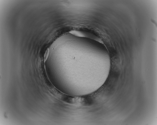 X0000098160225200804241811