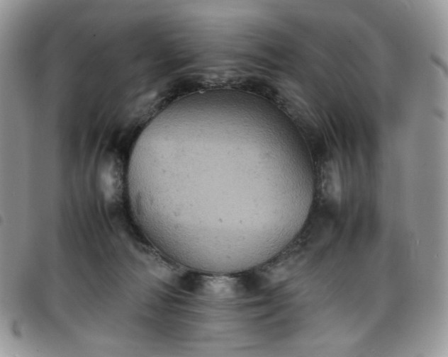 X0000098160226200804241811