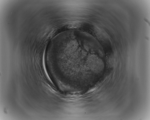 X0000098160227200804241811