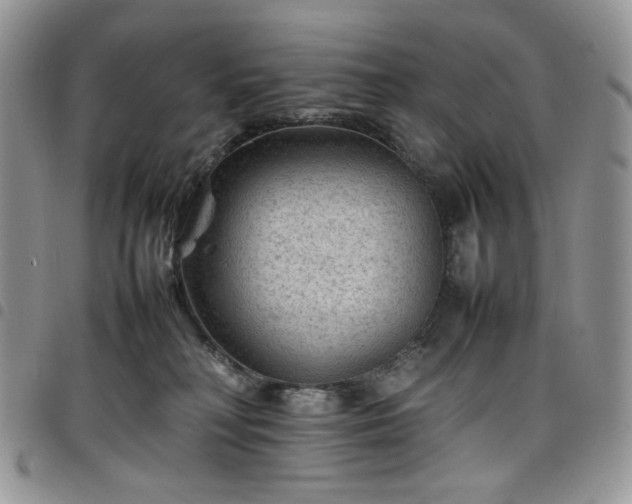 X0000098160230200804241811