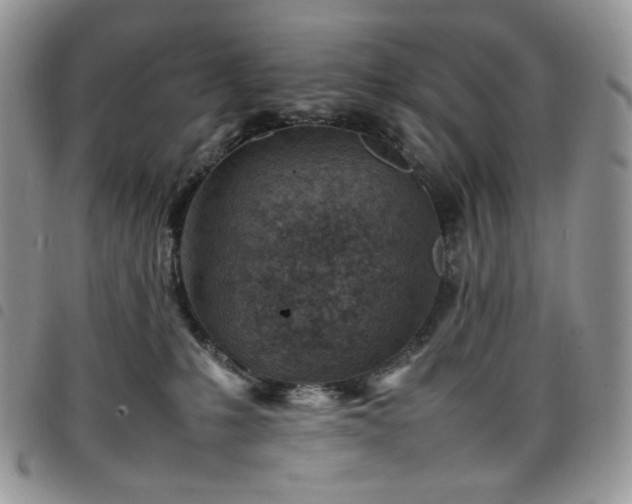 X0000098160231200804241811