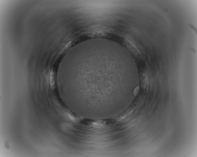 X0000098160232200804241811