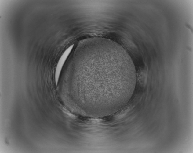 X0000098160233200804241811