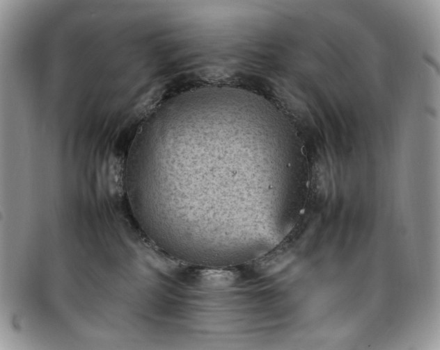 X0000098160234200804241811