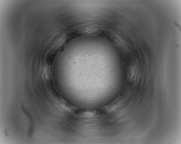 X0000098160236200804241811