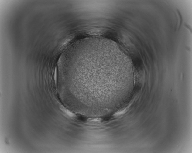 X0000098160237200804241811