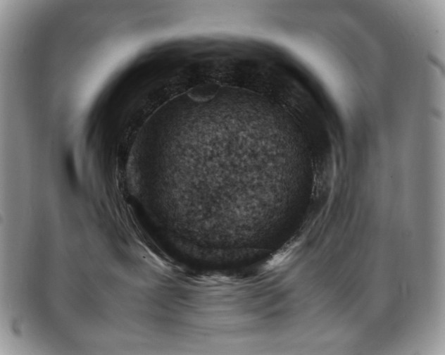 X0000098160239200804241811