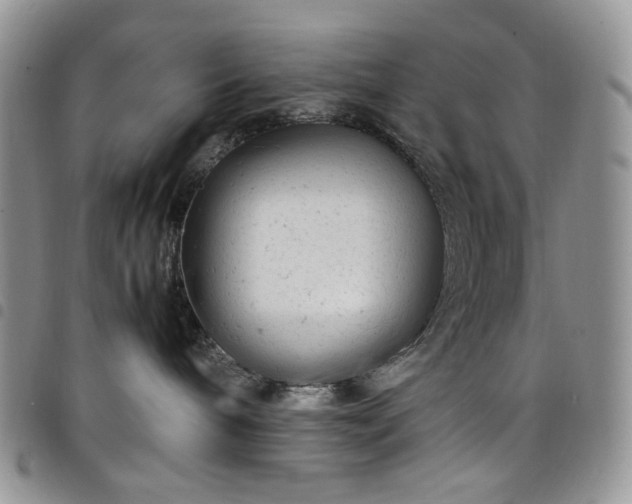 X0000098160240200804241811