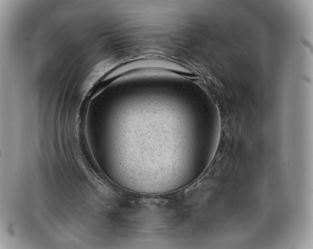 X0000098160242200804241810