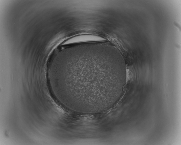 X0000098160243200804241810