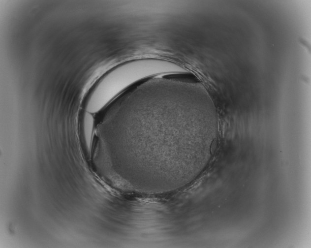 X0000098160244200804241810