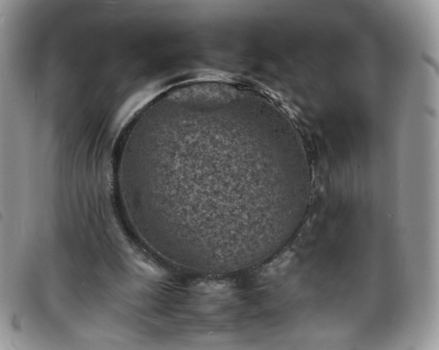 X0000098160247200804241810