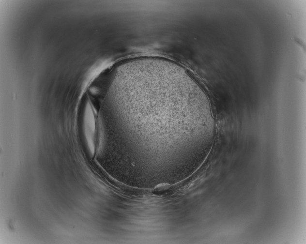 X0000098160248200804241810