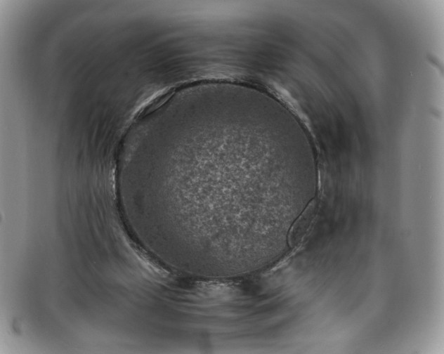 X0000098160249200804241810