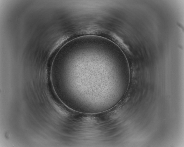 X0000098160250200804241810