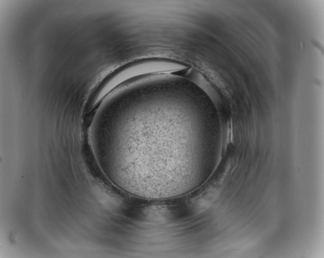 X0000098160252200804241810
