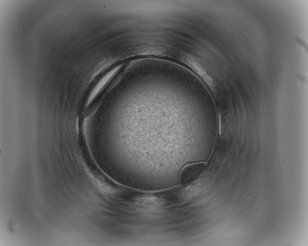 X0000098160253200804241810