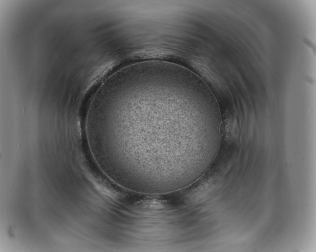 X0000098160254200804241810