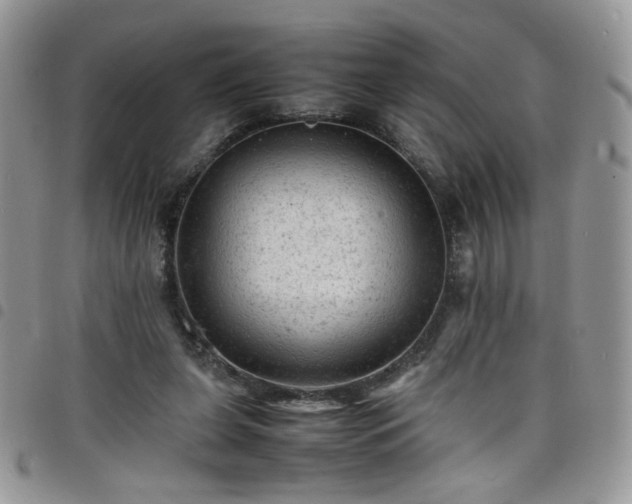 X0000098160255200804241810