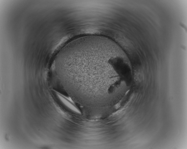X0000098160256200804241810