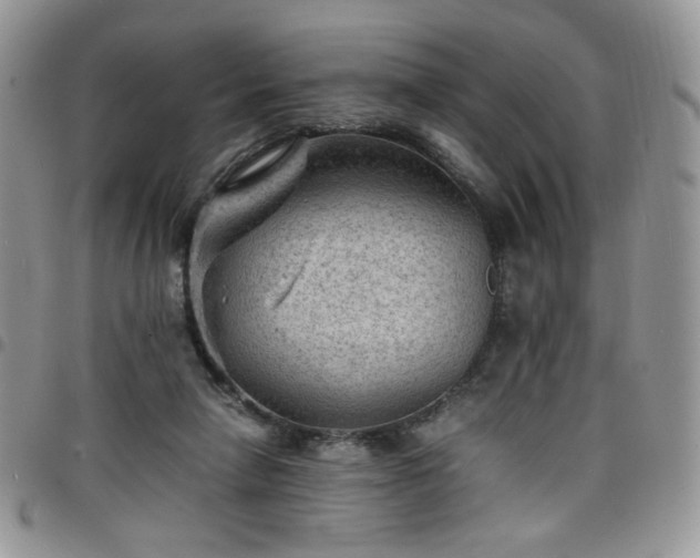 X0000098160258200804241810