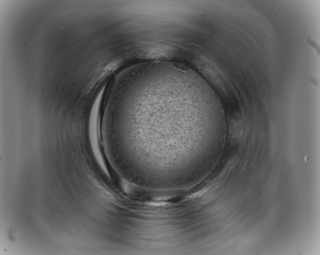 X0000098160260200804241810