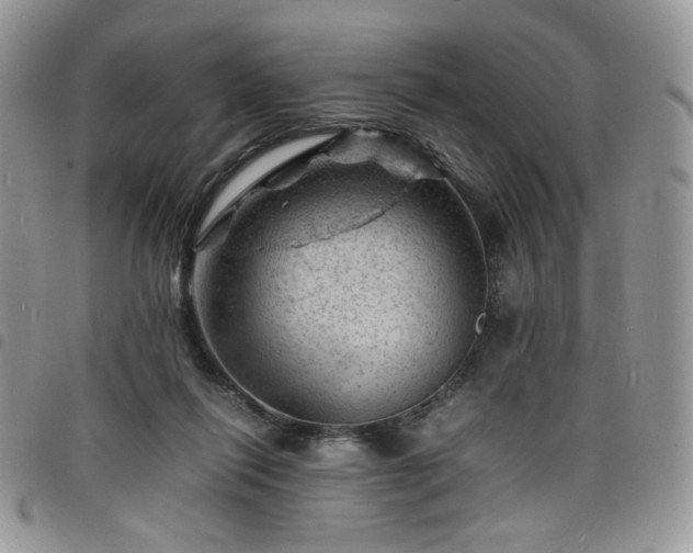 X0000098160262200804241810