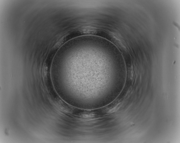 X0000098160263200804241810