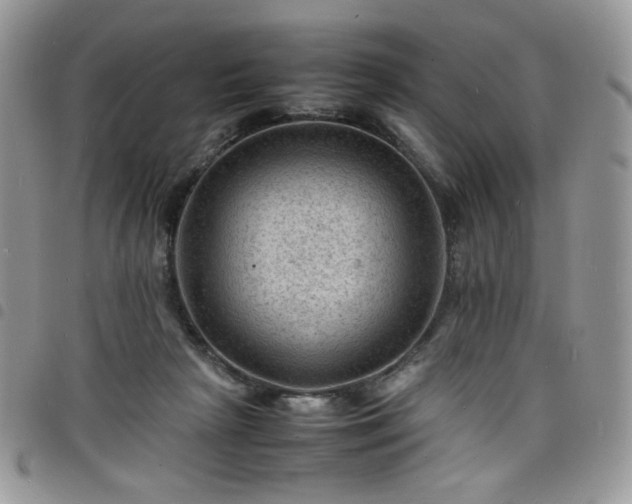X0000098160265200804241810