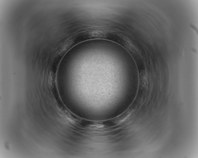 X0000098160266200804241810