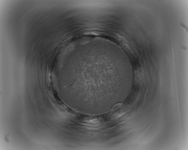 X0000098160267200804241810