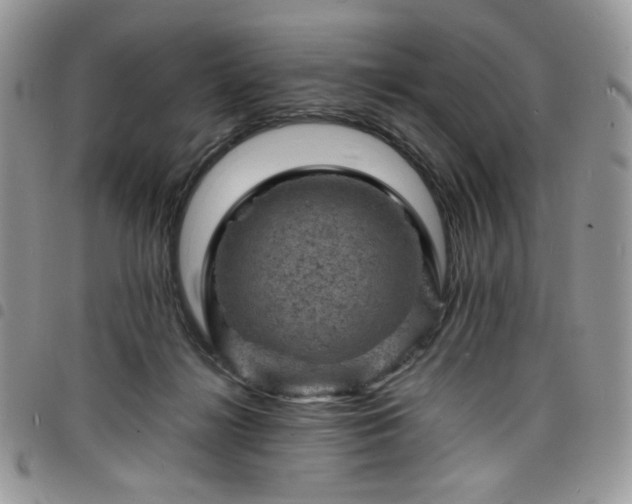 X0000098160268200804241810