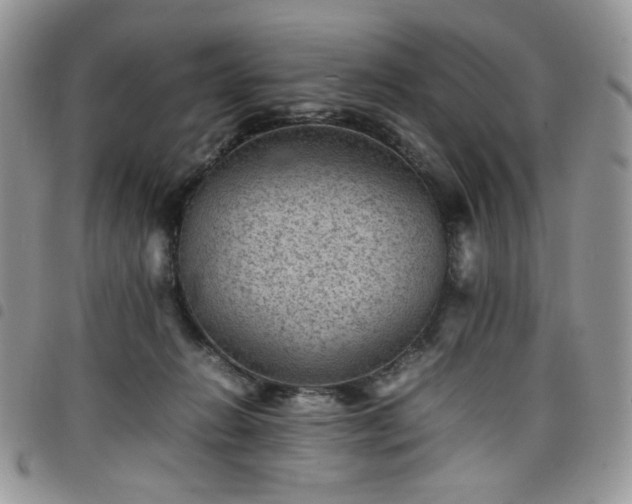X0000098160270200804241810